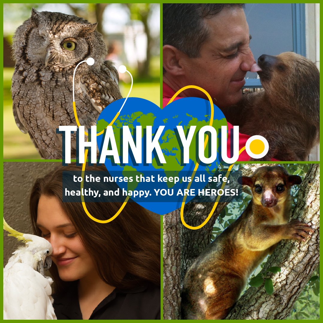 Happy #InternationalNursesDay ! Thank You Nurses! You are Heroes! 💙