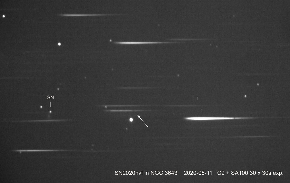 dgs99's tweet image. Here is its spectrum taken with a star analyser diffraction grating.
It shows a Si II absorption line blueshifted from its rest wavelength - its exploding towards us at 10,700km/s!