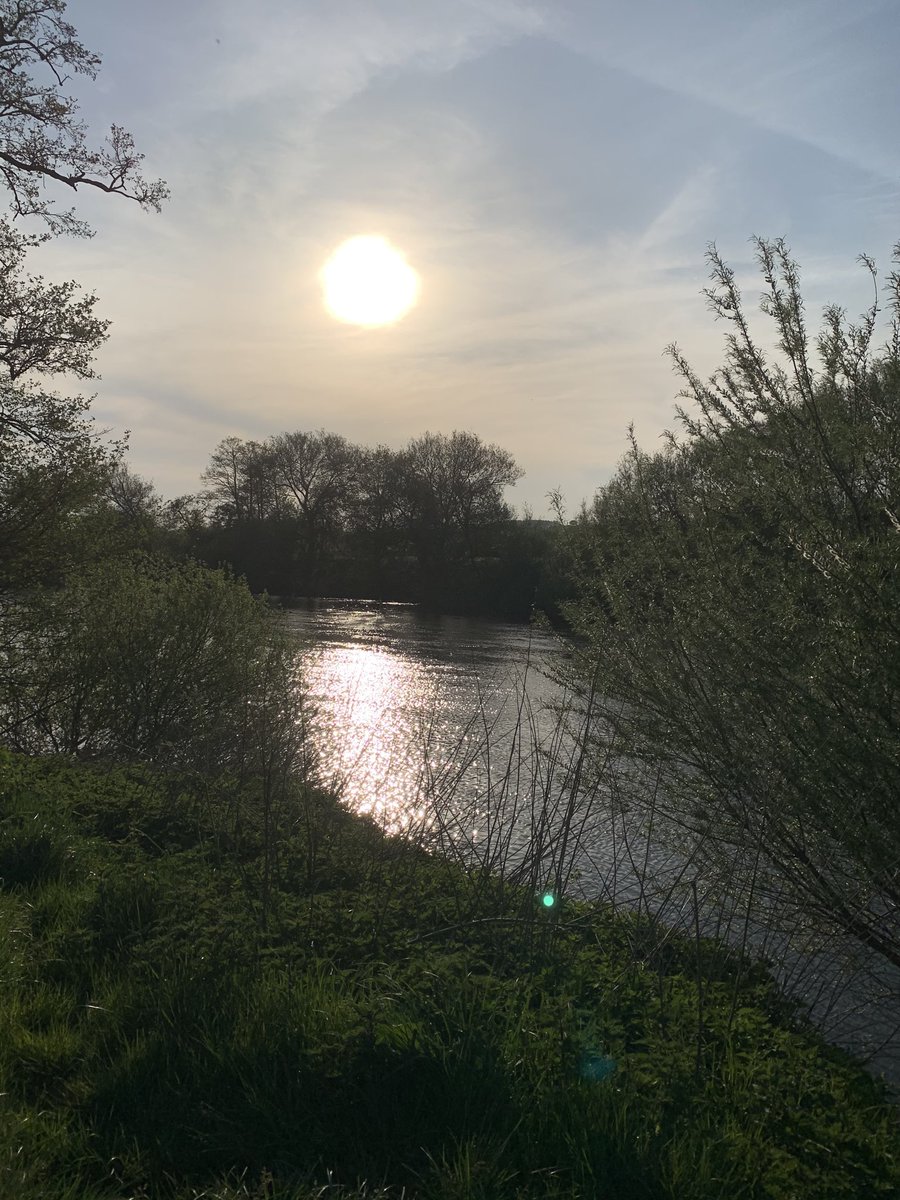 Day 1/7 #mylifeinpictures no people, no words, nominate a new person each day. I was nominated by the glorious <a href="/SueFenson/">Sue Fenson</a> and  <a href="/alisonstemp/">Alison Stemp</a> and today I challenge the marvelous ⁦<a href="/LouParker85/">Louise Parker</a>⁩