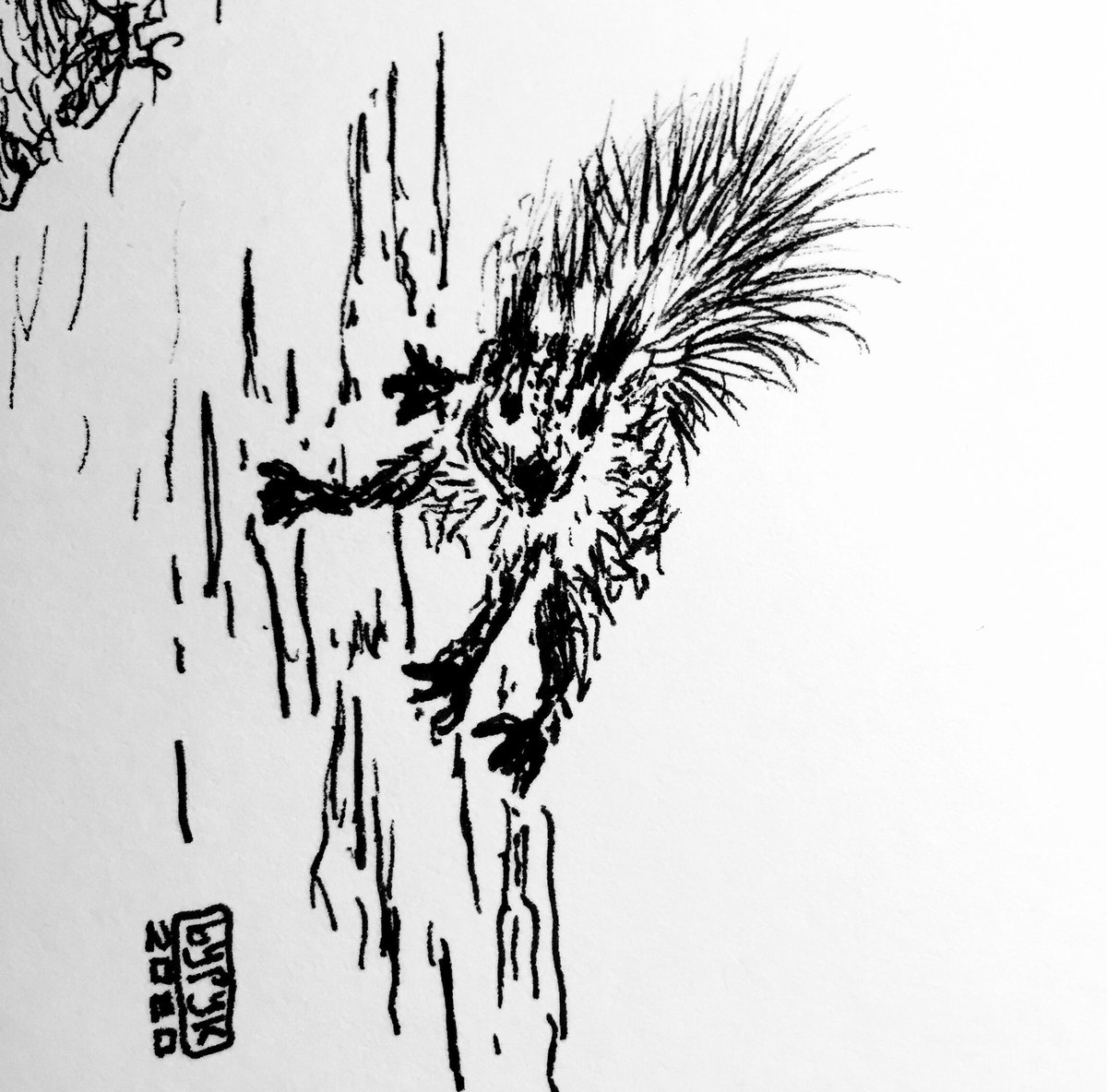 bypyky's tweet photo. What will be YOUR next jump???
#squirrel #jump #mood #exploring #pendrawing #blackwhite https://t.co/NP3dbHbbWQ