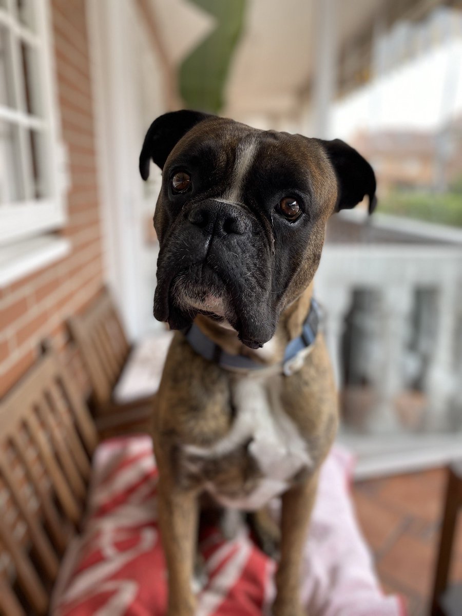 Maria98fa's tweet image. Vuela alto mi pipi 💫
Has sido muy fuerte estos años Kevin. Como te prometí, siempre estaremos juntos. Mamá siempre se acordará de ti 💚