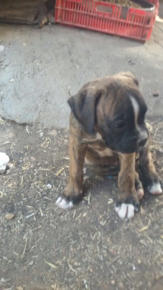 Maria98fa's tweet image. Vuela alto mi pipi 💫
Has sido muy fuerte estos años Kevin. Como te prometí, siempre estaremos juntos. Mamá siempre se acordará de ti 💚