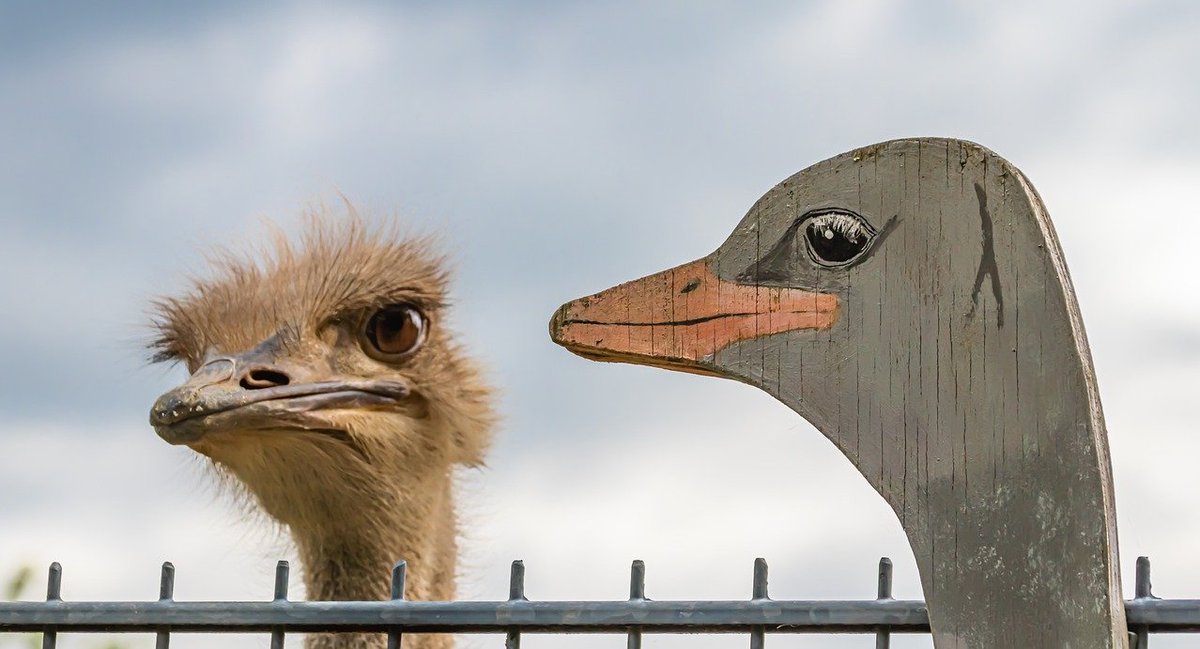 Apart from a secure #identity, #comparison will breed unrest. sfme.org/2020/05/12/res… #rest #peace #TheSearchforRest, #faith #significance #ladderofsuccess