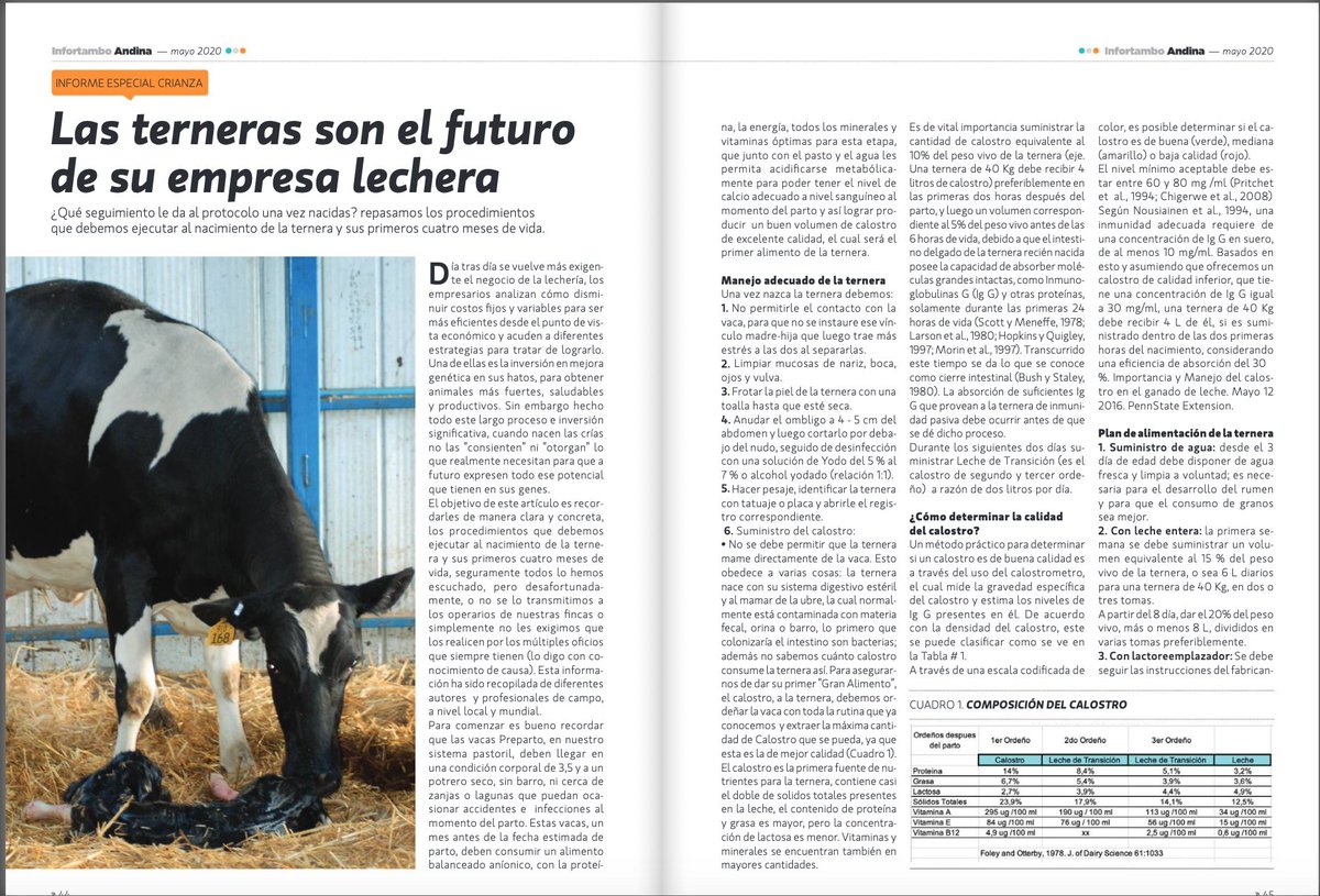 AdikosColombia's tweet photo. Encuentra en la ed 139 de la Revista Infortambo, el artículo escrito por el Dr. Tito Castro "Las terneras son el futuro de su empresa lechera" donde explica procedimientos que se deben ejecutar al nacimiento de la ternera y en sus primeros 4 meses de vida. https://t.co/cIK4IUonA1 https://t.co/wXi2DjARNT