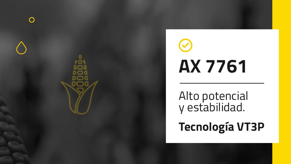 PampaSeeds's tweet photo. 🌽🌽El híbrido AX 7761 es la mejor opción de maíz por su excelente performance en todos los ambientes de fechas tempranas y tardías.🌽🌽
@NideraSemillas
#NideraSemillas #LaCompañíaDelCampo #HíbridosNidera #Maíz #AX7761 #Campaña2020 #Campo #PampaSeeds https://t.co/nuZGXVIDPq