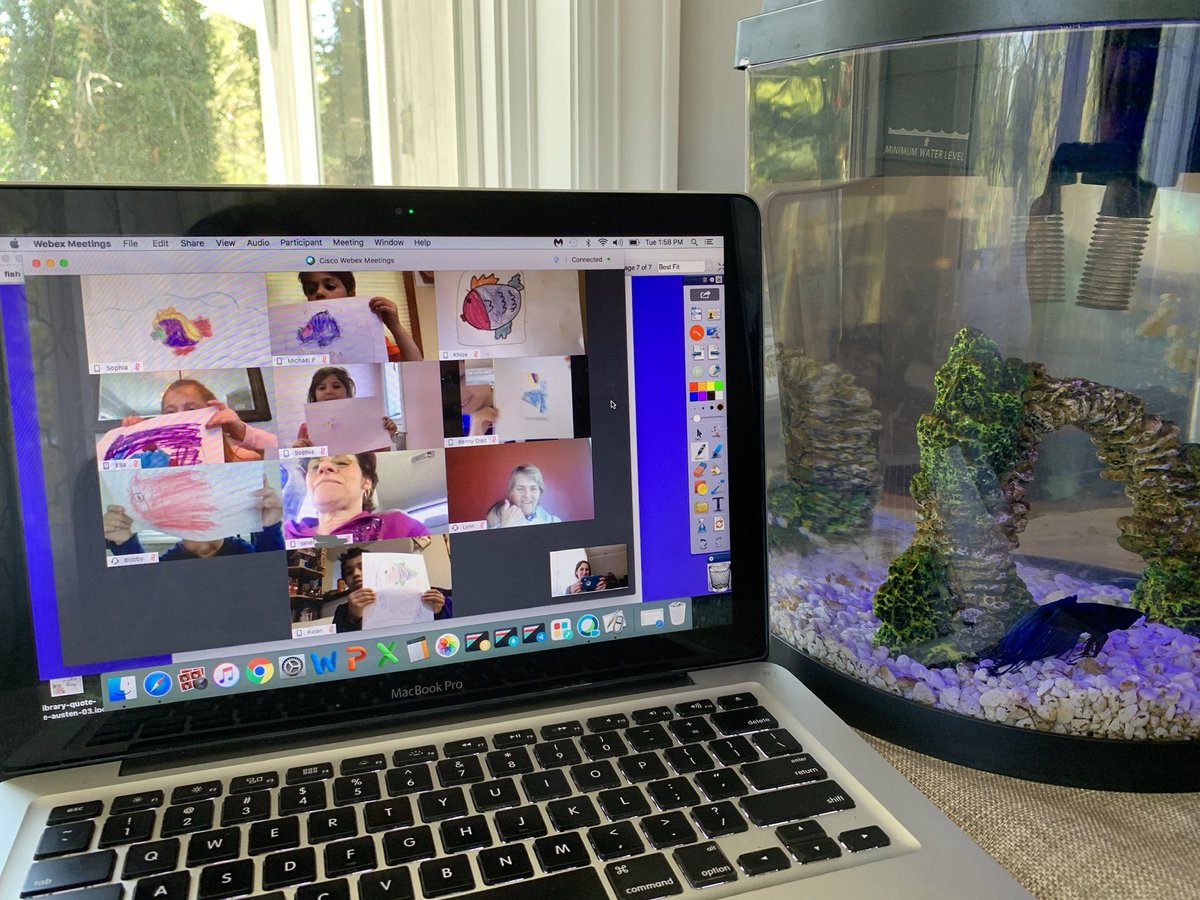 🖍 Guided drawing session with some inspiration from our class pet Friendly! He was so excited to see his friends! 🐟 #mineolaproud @MeadowDrMineola