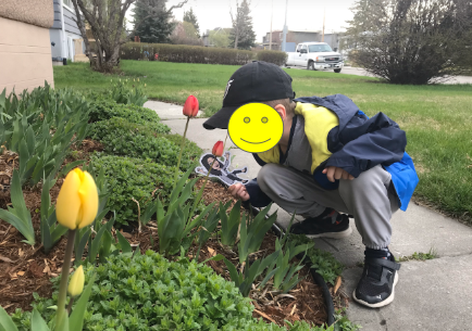 msrogersclass's tweet photo. I read a funny story about my bitmoji unintentionally playing hide and seek. I love that I'm getting my daily exercise with my students while I'm sitting at my computer 😆 It is so nice to stop and smell the 🌷 and check out that amazing fort!!! 🏰 Keep sending me smiles friends! https://t.co/jrS4nWTEqH