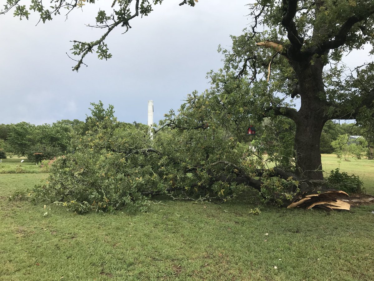 MylerTalone's tweet photo. Storm today in Paige knocked down a tree @KVUE @KXAN_News https://t.co/8AqWvn7hFf