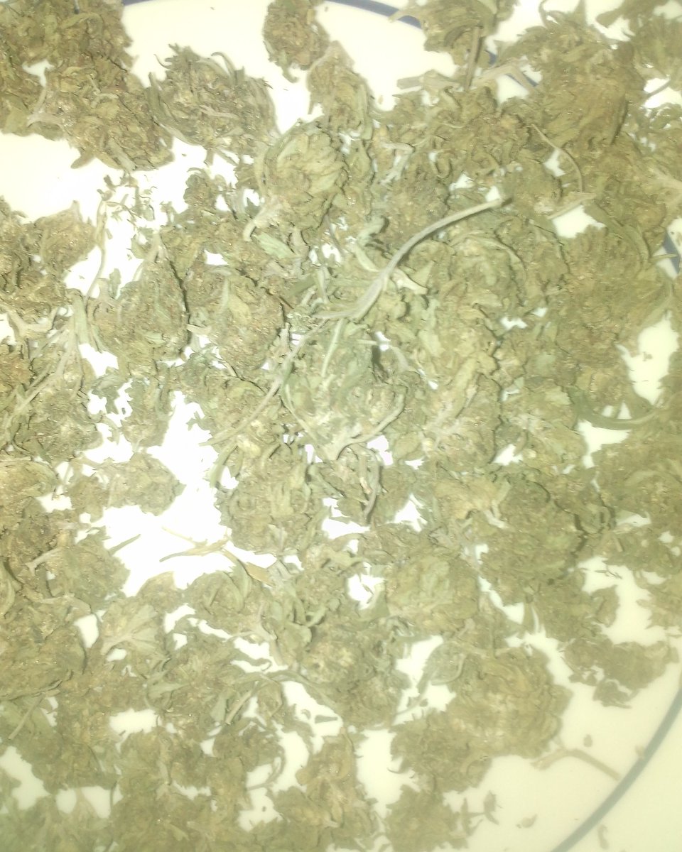 smokingcactus_'s tweet photo. Me have nuff greens pun mi plate. Laughing Buddha got me meditating and grinning from ear to ear 🌿🌬️😂🔥 
#Mmemberville #MadagascarCure #HerbHeals #herbs #decriminalize #Meditation #medication https://t.co/S7YcRiNENE