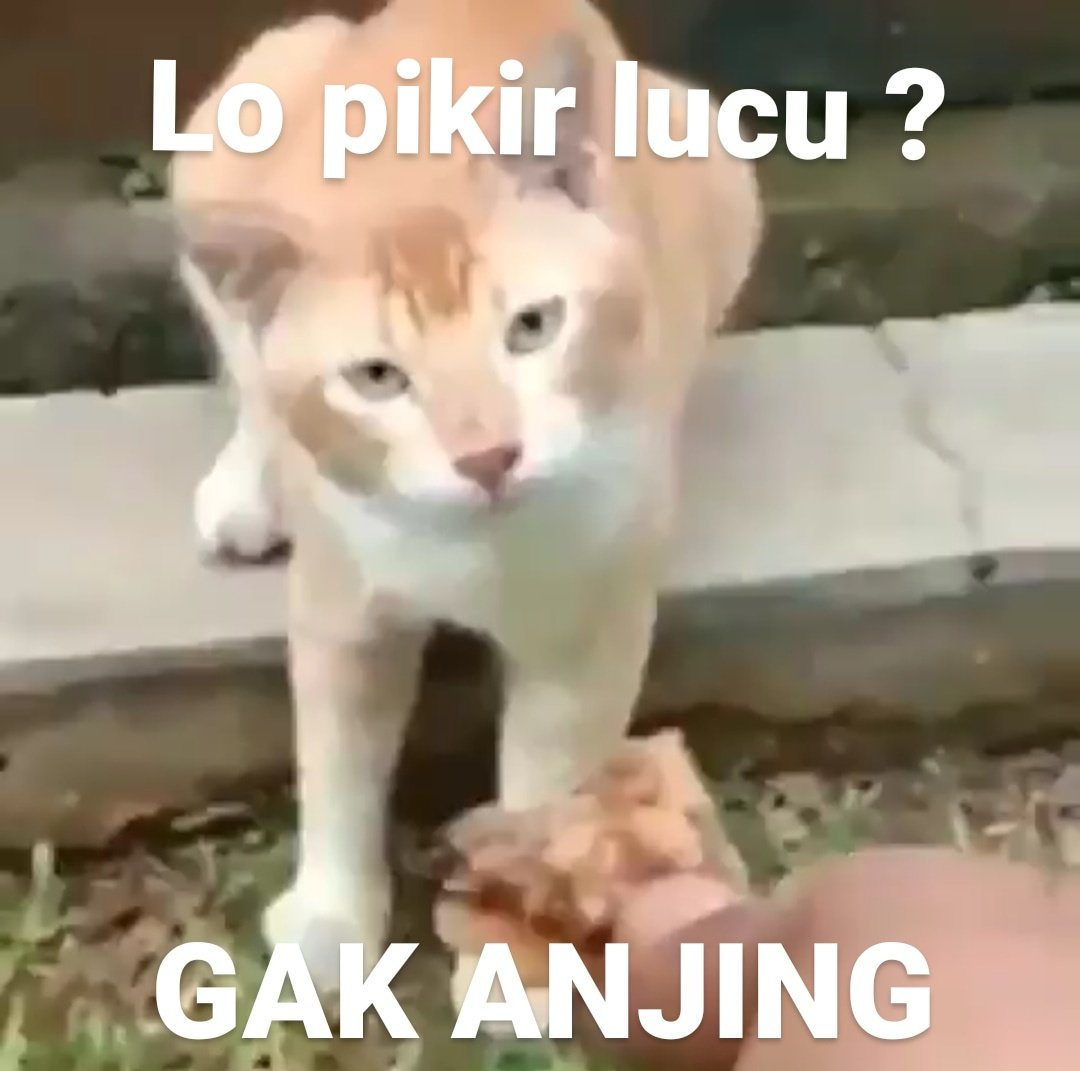 Recein Aja On Twitter Untung Lagi Puasa Ya Cing