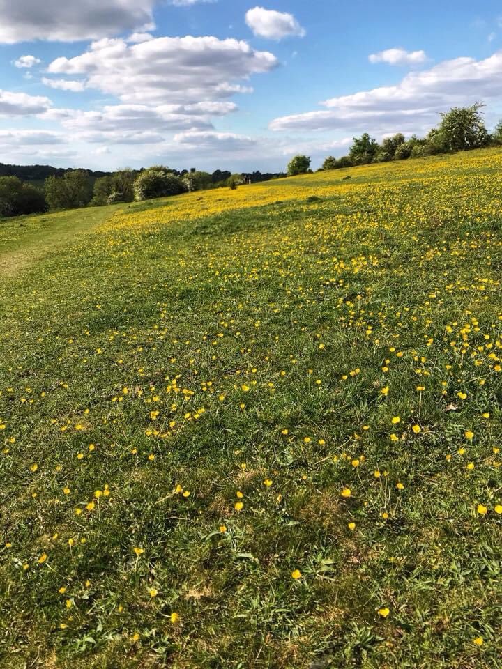 harryfishpond's tweet photo. Farthing downs. #farthingdowns #citycommons #coulsdon #photography https://t.co/f6u3RDrfi4