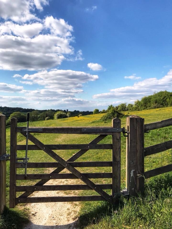 harryfishpond's tweet photo. Farthing downs. #farthingdowns #citycommons #coulsdon #photography https://t.co/f6u3RDrfi4