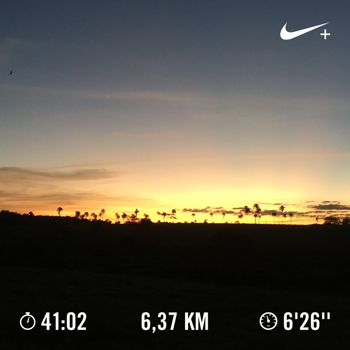 MillenaGS_'s tweet photo. Corridinha marota de hoje 🏃🏻‍♀️🏃🏻‍♀️ https://t.co/uUIfZ1s6a4