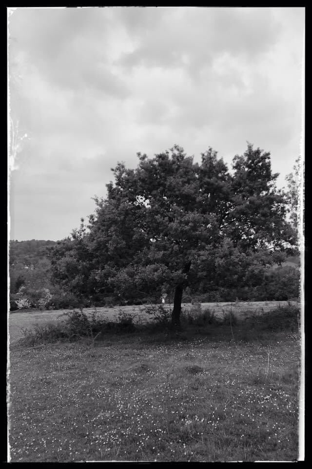 harryfishpond's tweet photo. Farthing downs. #farthingdowns #citycommons #coulsdon #photography https://t.co/Npu75n3GEC