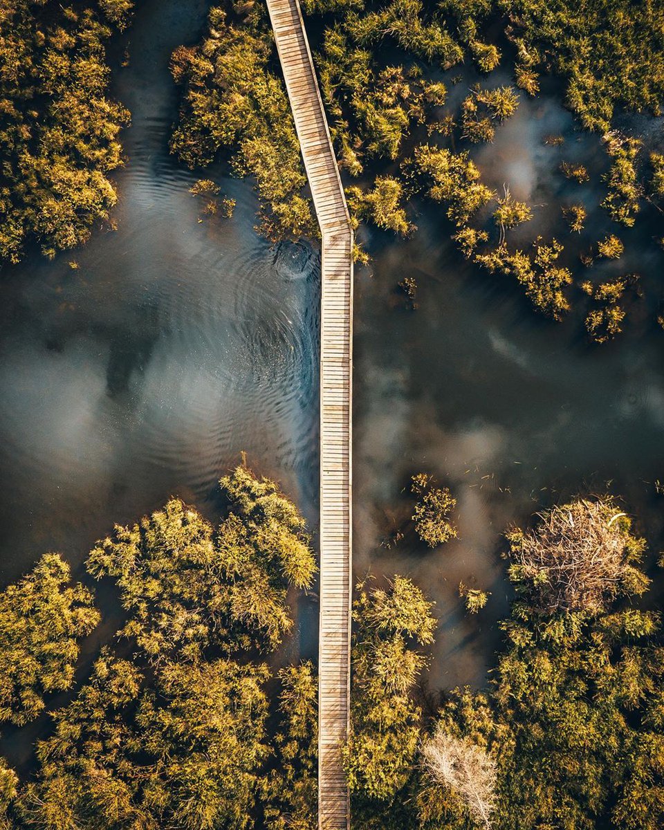 wasatchbeers's tweet photo. Social distancing never looked so good🌎 Big shout out to photographer and Wasatch Brew Pub friend Eric Kerr (IG) for always showcasing our favorite state! #WasatchBrewPub https://t.co/iR8pzC00AK