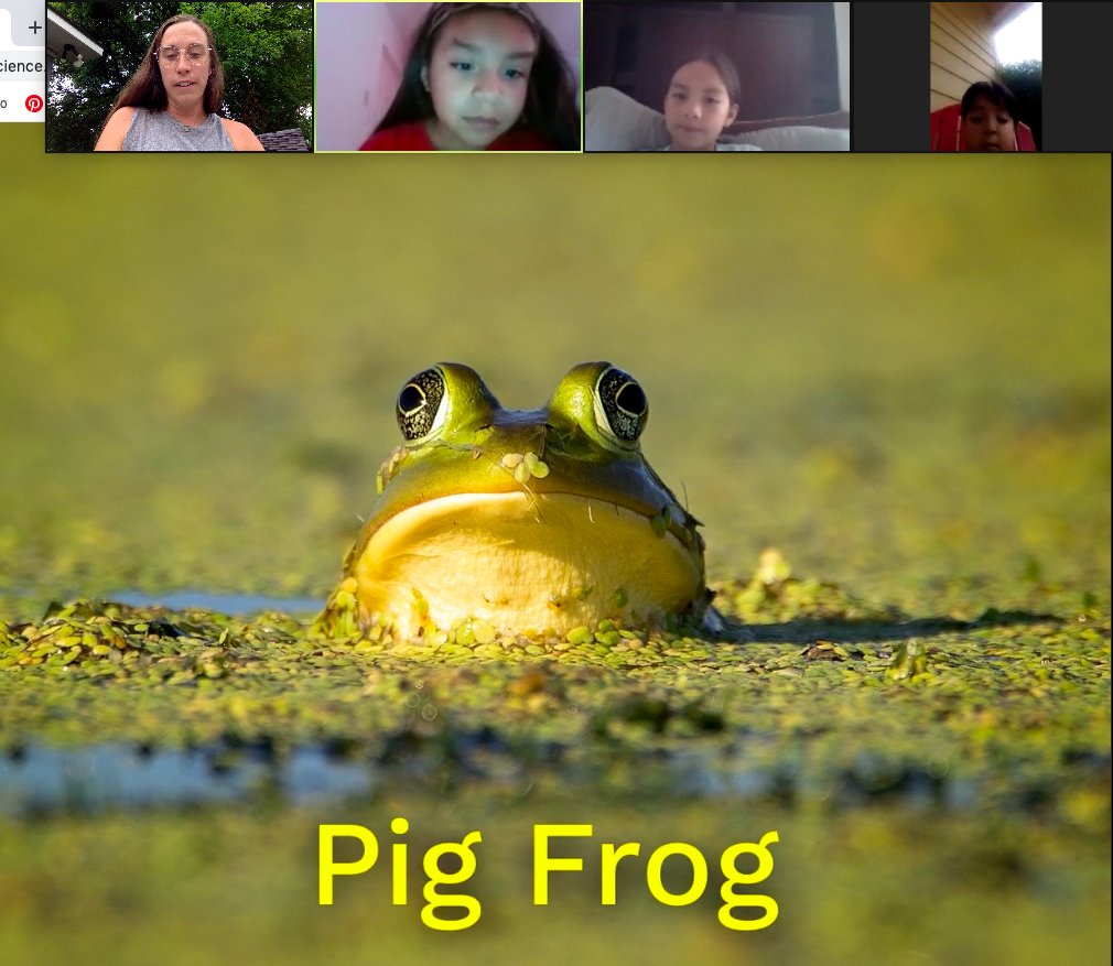 SherylBurt15's tweet photo. It's fun that we can still learn about our world from home! Thanks @mysterysci for the fun lesson on frog sounds! @GPeabodyElem @MolinaSunset #GPStrongerTogether #ChargerFamily https://t.co/TFkVnYKMEC