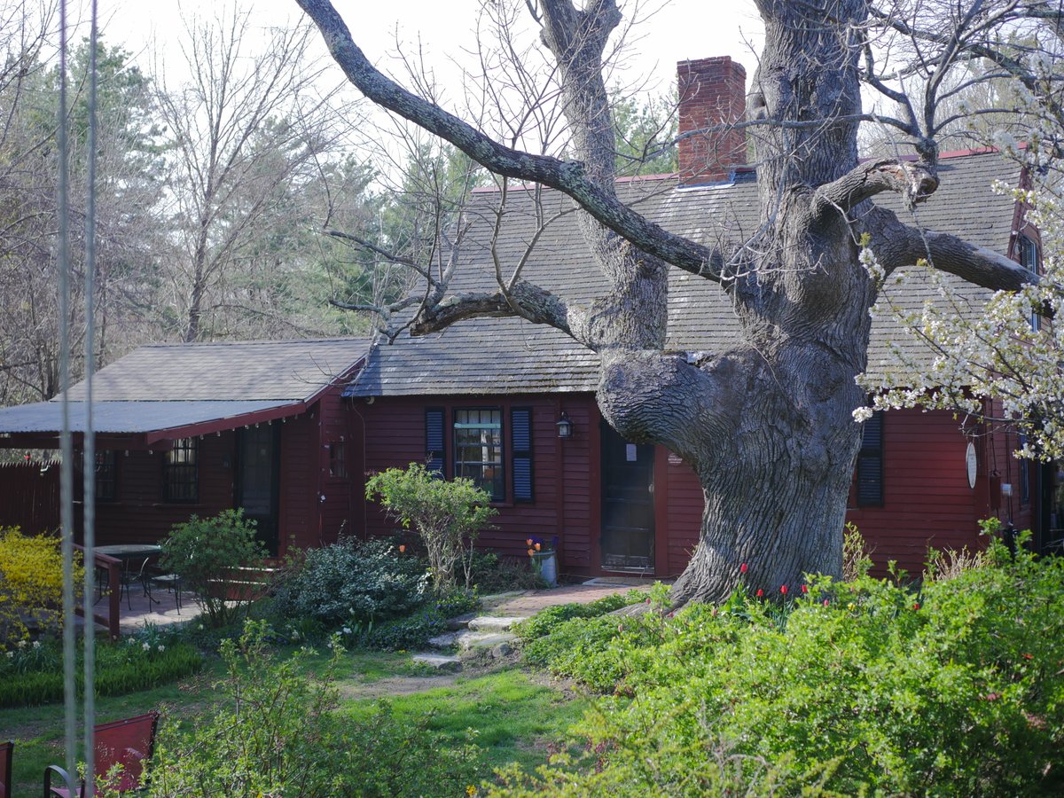 peterborough_nh's tweet photo. #secretsofmonadnock Elizabeth Orton Jones illustrations of Grandmother's House from Little Red Riding Hood is inspired from a little 1786 Red Cottage 20 minutes from Peterborough in Mason, NH. Do you know a secret of Peterborough or Monadnock? DM us with a tip!
#nhrocks #visitnh https://t.co/iok2hQbapk