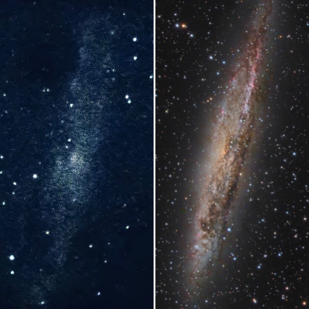 Here's my (dodgy) image next to the excellent APOD captured by Martin PughCaldwell 83 is about the size of the Milky Way, and located 13 million light years away in the Centaurus constellation. It's a large spiral galaxy (another first for me!) being seen almost edge on.3/8