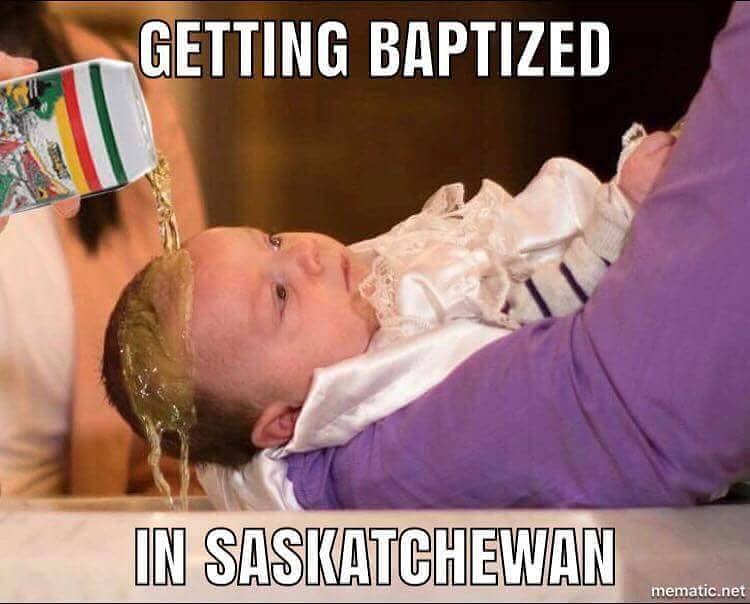 Dean_Murdoch's tweet photo. All them spring prairie babies gettin ready to be welcomed into the spirit of giviner https://t.co/26ZkjeTAbm
