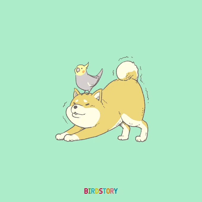 おはようございます。
本日は5月13日、愛犬の日との事です?
#BIRDSTORY
#愛犬の日 