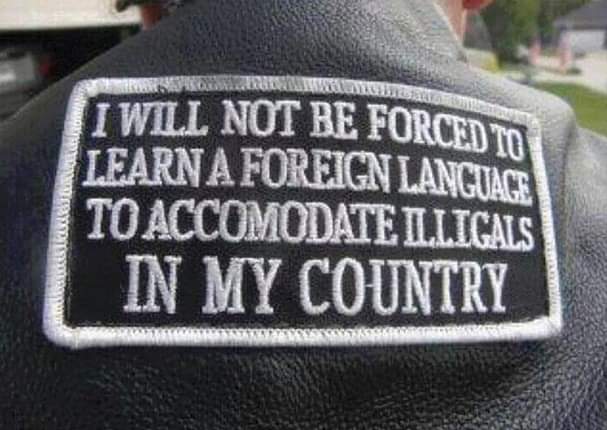Stop_Trump20's tweet photo. What's illigals?? https://t.co/lxPSN8Np82