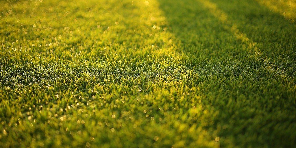 SyngentaTurf's tweet photo. Primo Maxx can help precondition your #turf in preparation for summer stress while offering relief for daily #mowing schedules until full maintenance crews are back on the course: https://t.co/3gsGTd0S2Q
#Time4PrimoMaxx https://t.co/RwnIkZzY2j
