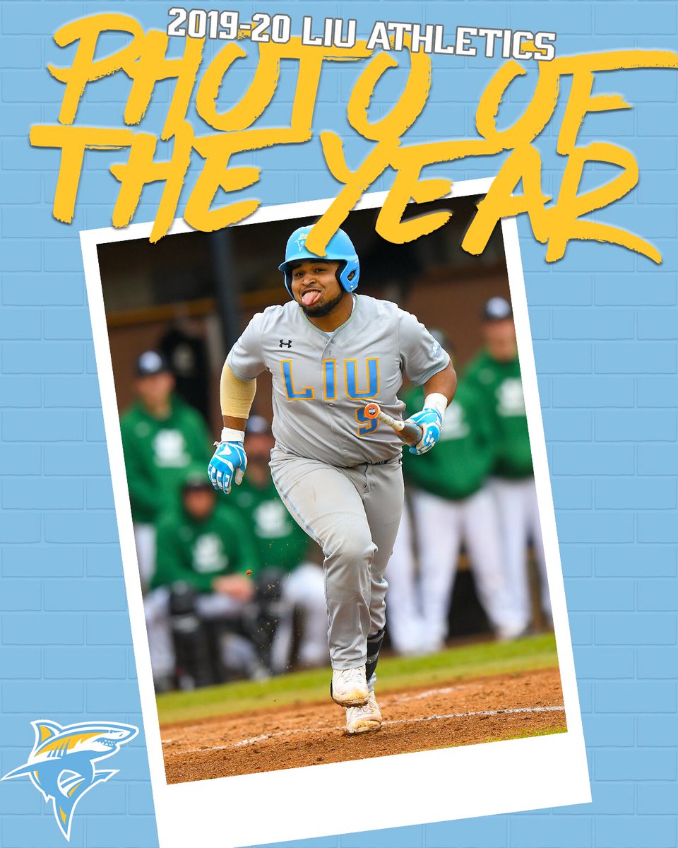 LIU Athletics tweet media