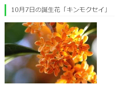 Yulai 花 10 7 誕生花 キンモクセイ 花言葉 謙虚 気高い人 9 27 コスモス 乙女の真心 調和 謙虚 トレニア ひらめき 愛嬌 Yulai 花 10 7 誕生花 キンモクセイ 花言葉 謙虚 気高い人 9 27 コスモス 乙女の真心 調和 謙虚 トレニア ひらめき 愛嬌