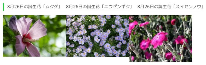 ユウゼンギクのtwitterイラスト検索結果