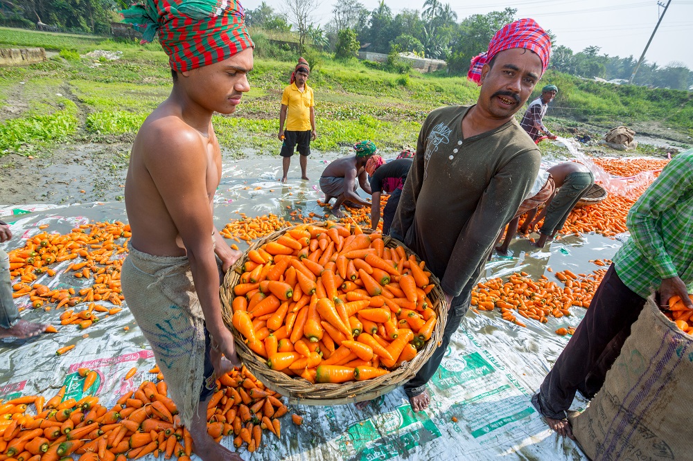 Food security is a priority in the <a href="/WorldBank/">WorldBank</a>’s #COVID19 response for South Asia. While it’s essential to focus on plentiful supply, especially for the most vulnerable, we must also ensure that food is nutritious. wrld.bg/5BQY50zDcK6 #SAFANSI