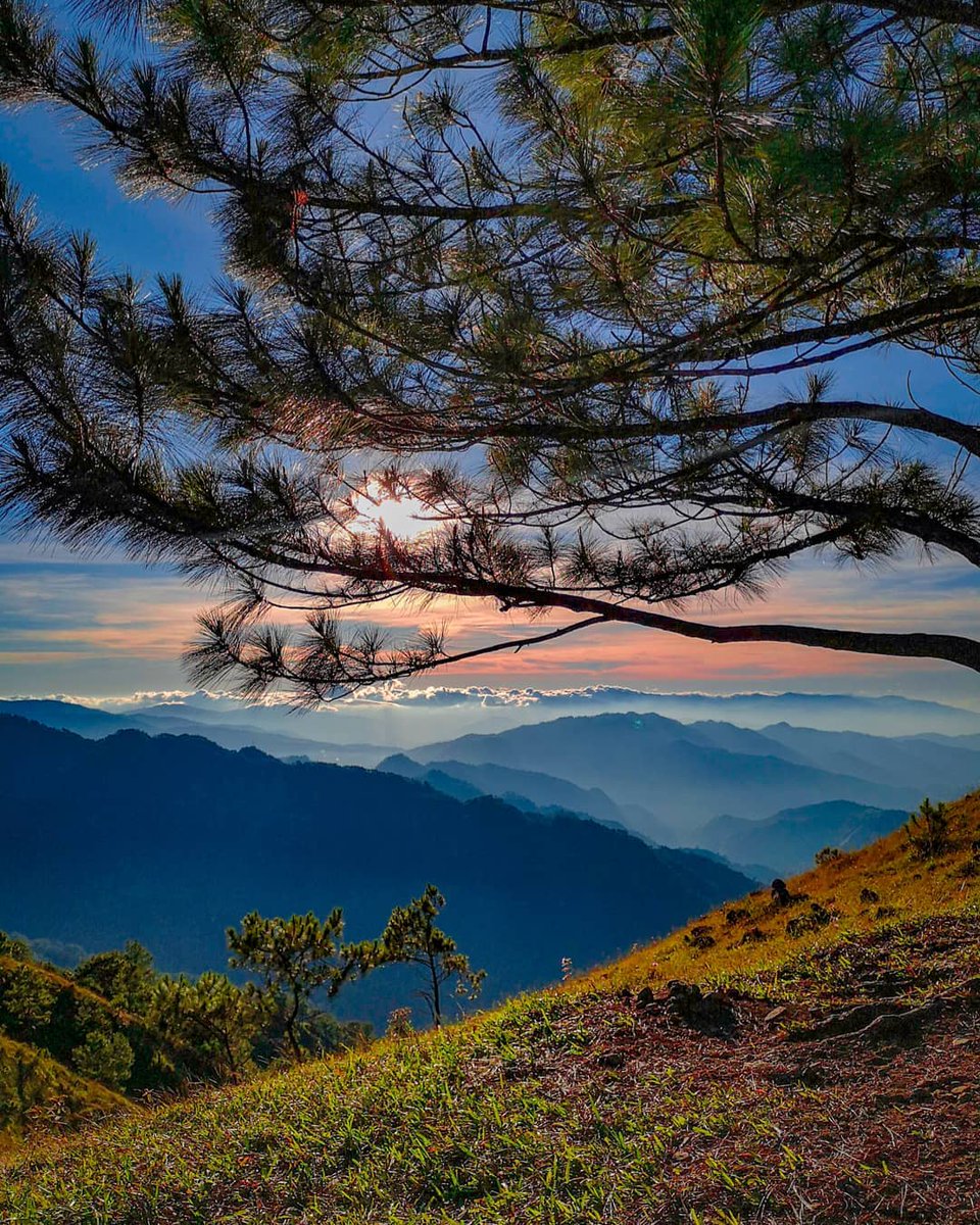 ChoosePhils's tweet photo. Situated in Itogon, Benguet, #MountUlap is known for its scenic view of the Cordilleras while trekking the grassland and pine tree ridges. ๐๐๏ธ #HumpDay #ChoosePhilippines ๐ต๐ญ
Photo by @wandertwinstravel ๐ธ
๐ Mt. Ulap, Ampucao, Itogon, Benguet https://t.co/RgT2wud4TY