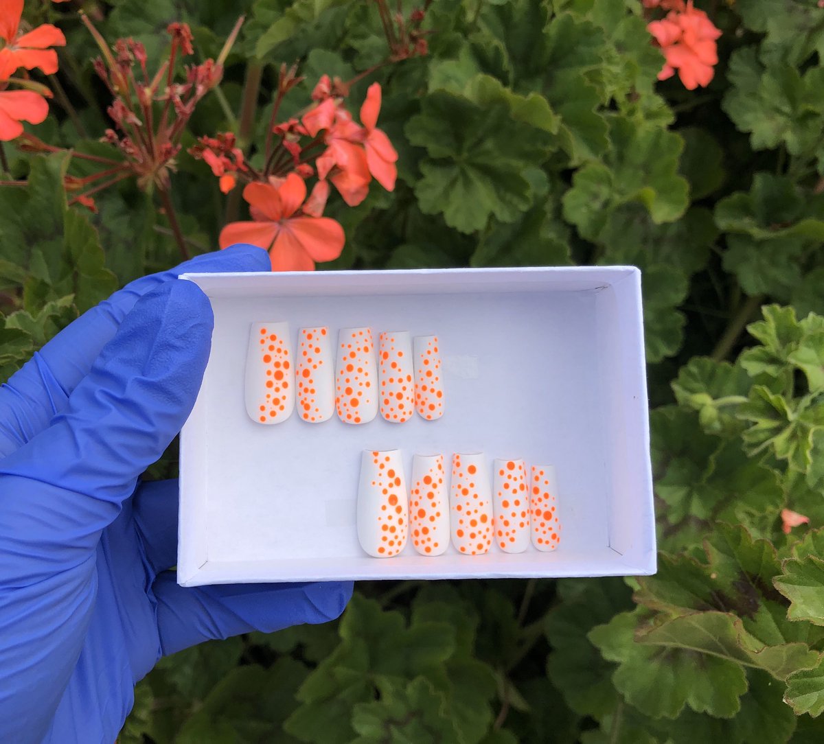 selfmadesets's tweet photo. Just a dash of orangeπ§‘β¨ #nails #nailsofinstagram #nailart #nailsπ
#glueonnails #pressonnails #acrylicnails #gelpolish #selfmadesets #orangenails #mattenails #whitenails https://t.co/7W7lwOHvNd