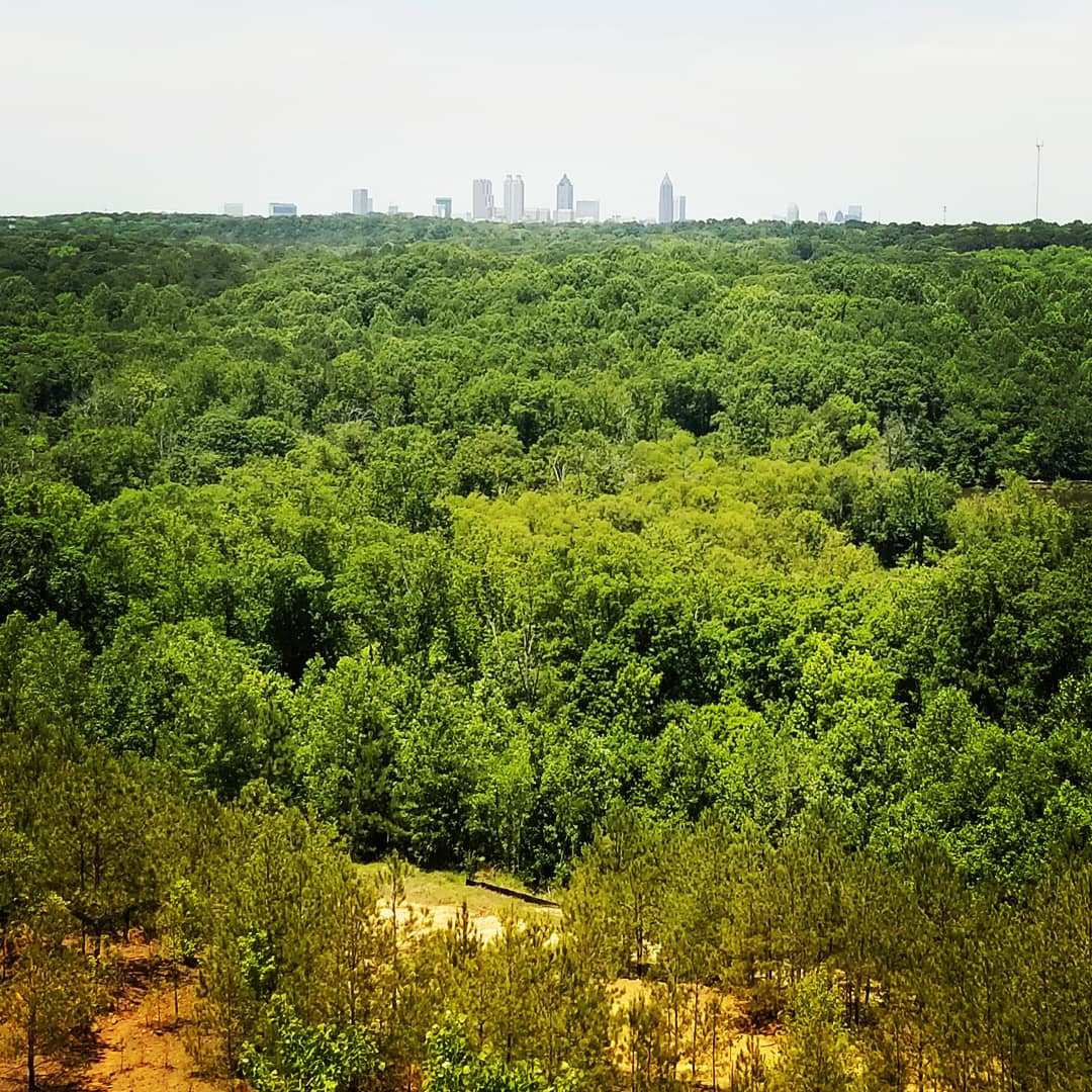 Great afternoon in the #southriverforest.