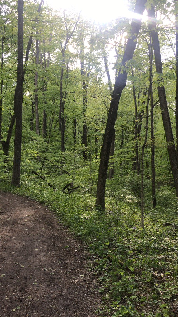 SpringboroCCTF's tweet image. Did you get out today? It takes a decision to get out and exercise. Start somewhere! #TAGAPANTHER