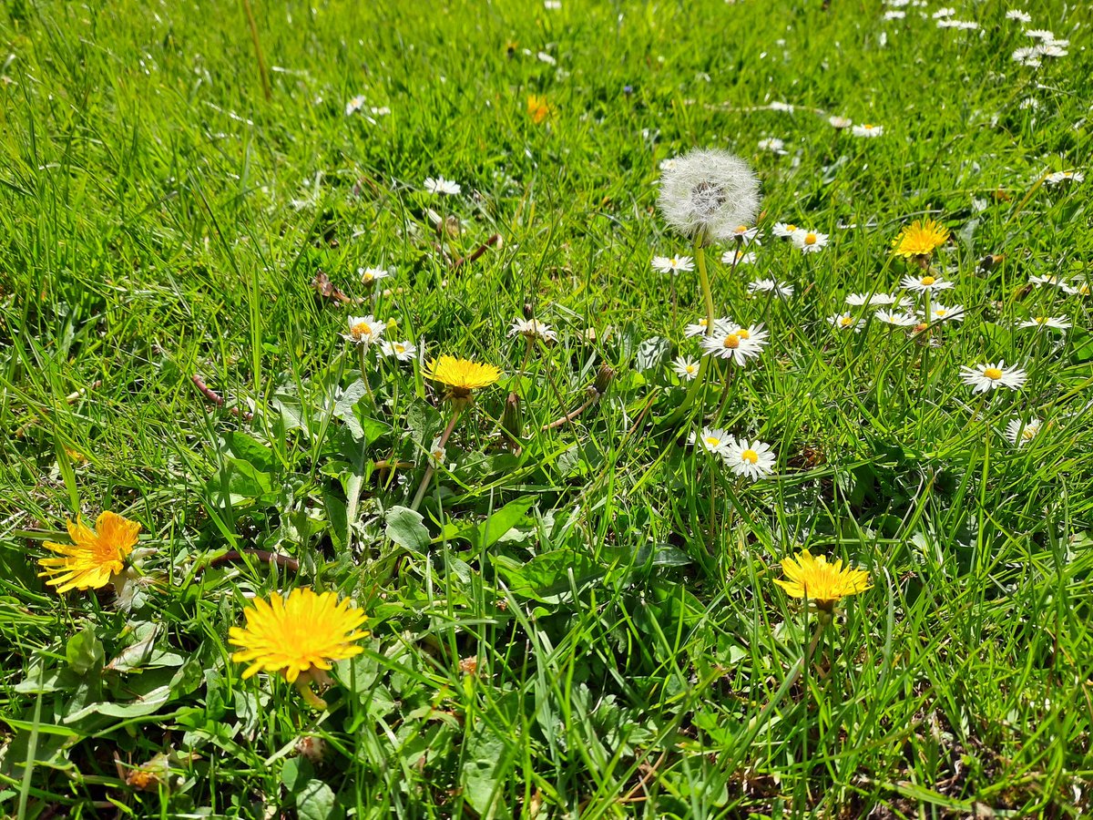 Lisa Walsh (@lisakwalsh) on Twitter photo Day 3/7 of my life in pictures. Rules: no words, no people. Nominate someone new each day. I was nominated by <a href="/MaryKingston123/">Mary Kingston</a>. Today I nominate <a href="/ellenvwalsh/">Ellen Walsh</a>. Day 3/7 of my life in pictures. Rules: no words, no people. Nominate someone new each day. I was nominated by <a href="/MaryKingston123/">Mary Kingston</a>. Today I nominate <a href="/ellenvwalsh/">Ellen Walsh</a>.