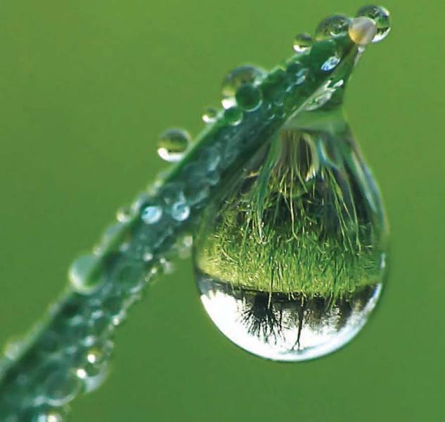 SRLandscape's tweet photo. The Tucson monsoons are just around the corner! With rainwater harvesting, you can reduce water waste and add sustainability to your landscape. For more information, call Santa Rita Landscaping at (520) 623-0421 or visit our website https://t.co/2gETaRro9s https://t.co/K5doGR3iMc