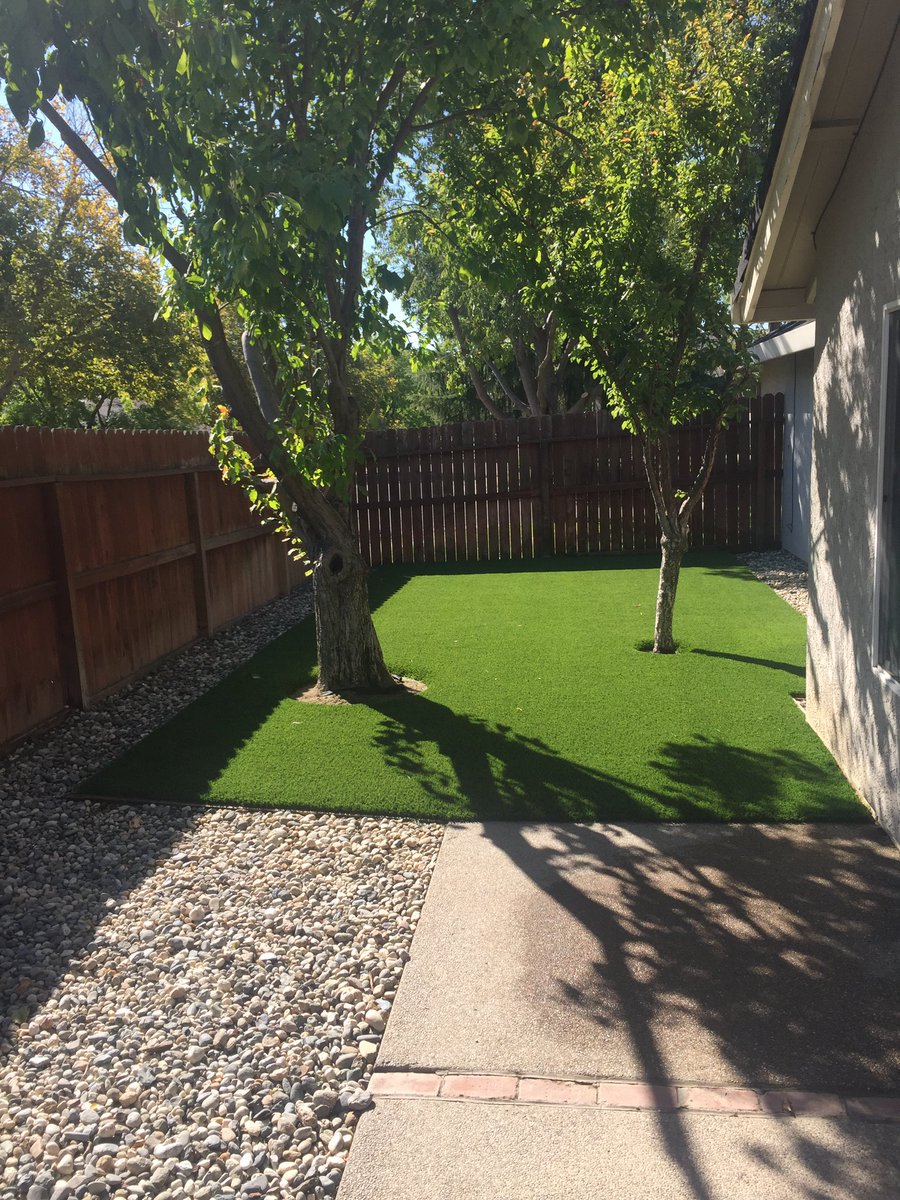 PincheChelo's tweet photo. Hey guys i recently started a small business and would highly appreciate a repost. My next customer can be on your feed! We specialize in instaling turf. Feel free to contact me for a FREE quote. Located in the valley but are willing to travel for work. Thank you! https://t.co/yZC31OYiaV
