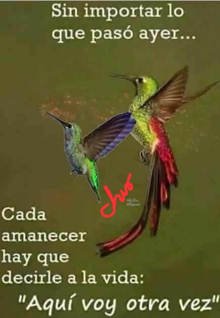 roushaps2's tweet image. Todos los días son oportunidades, cada día es decirle a la vida aquí estoy, aquí voy otra vez, #oportunidades #aquíestoyotravez #roushaps2