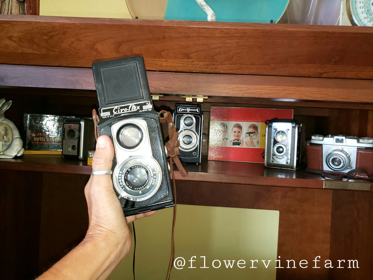 FlowervineMom's tweet photo. I collect old cameras, anyone else collect unique things? This one was my dads.
#collector #cameras #antiques #antiquecameras #circoflex #Kodak #film #photographer #photographylovers #BrownieCamera #photography https://t.co/G1acx9nIu5