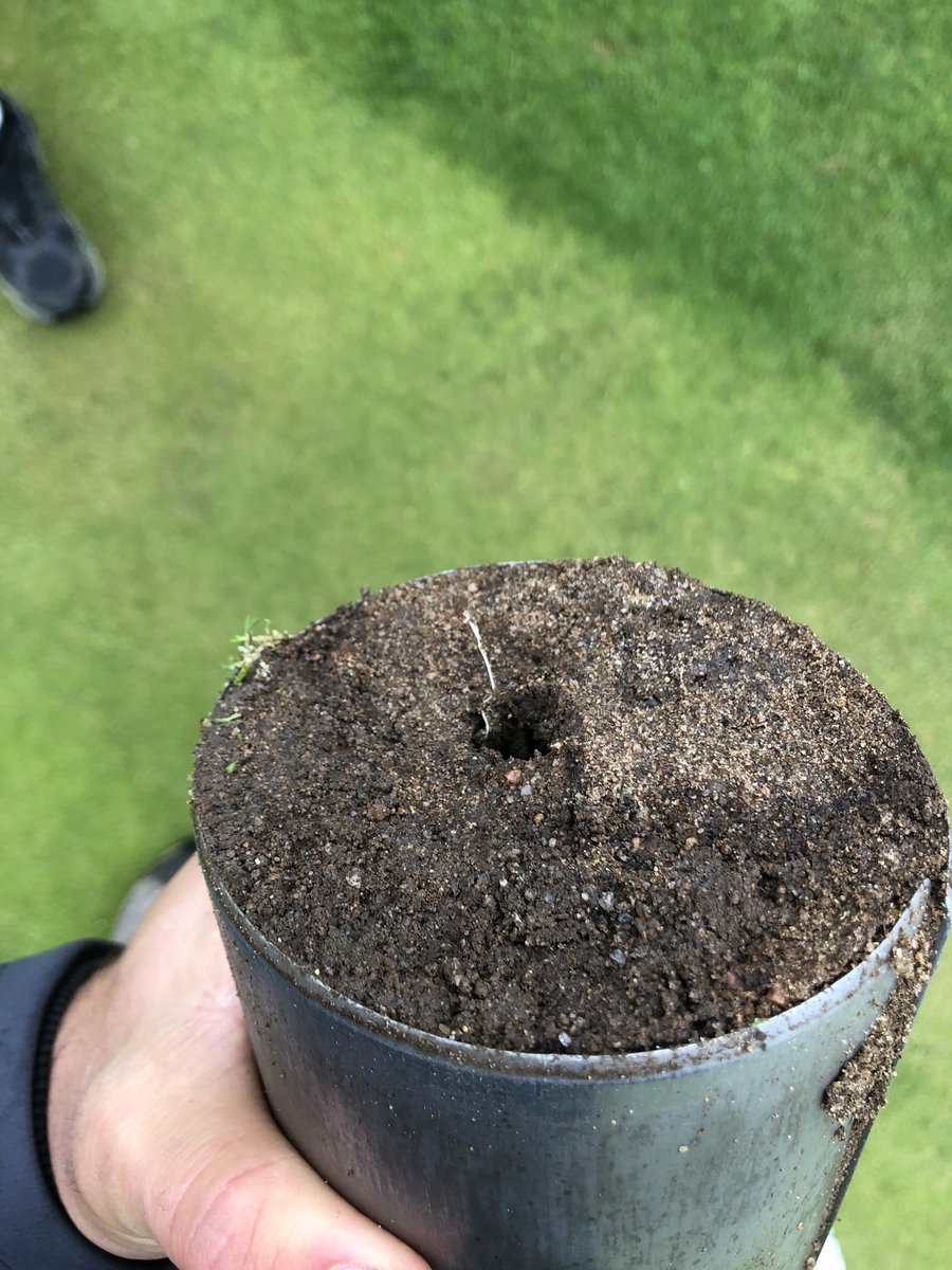 Lil feller is poppin through