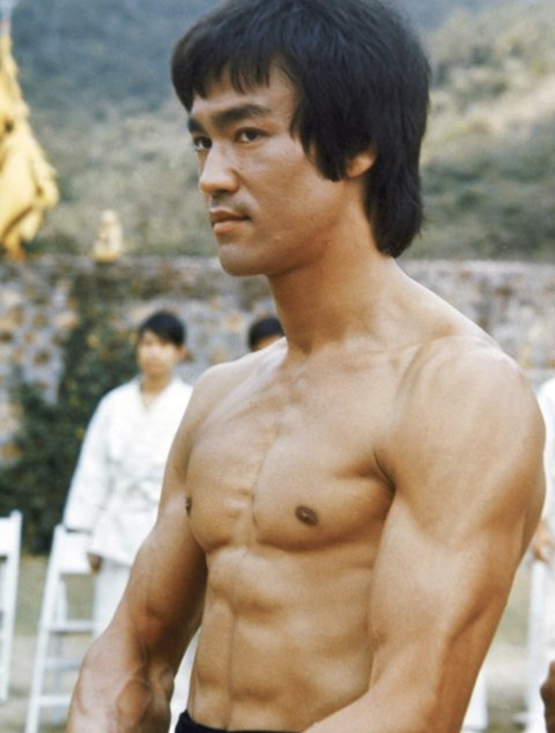 Bruce lee sales six pack images