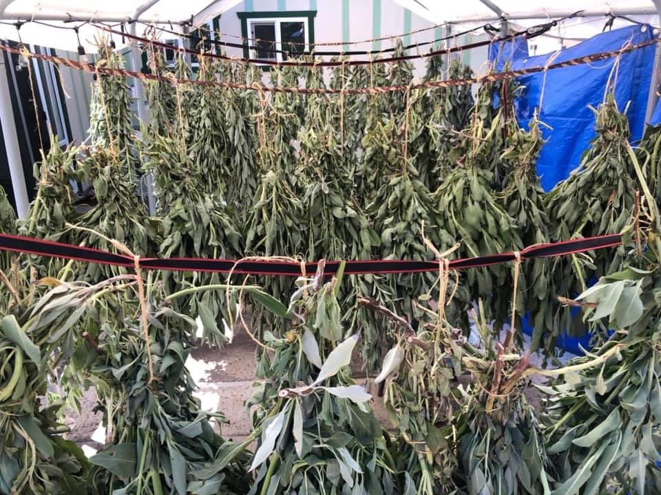 FirebirdTouch's tweet photo. SAGE the bad energy away! 
Some benefits of #sage: 
• removes bacteria from the air
• repels insects
• cleanses the space energetically
• improves #intuition
• purifies your energetic field
• improves mood
• reduces stress &amp; anxiety
Just for $16 -> https://t.co/4U8eJhMBb7 https://t.co/aJu5B3lf2E