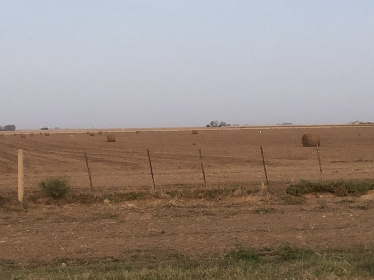 luciano_gast's tweet photo. Seguimos observando lo que no se debe hacer, esto está mal, el 🥜 no degrada el suelo, si no lo que luego hacen en los lotes. Rollos de rastrojo de 🥜. MAL MAL MAL. y acá no le pueden echar la culpa al maní. Esto se llama irresponsabilidad de los propietarios que permiten esto. https://t.co/o9Qzb2Fdvu