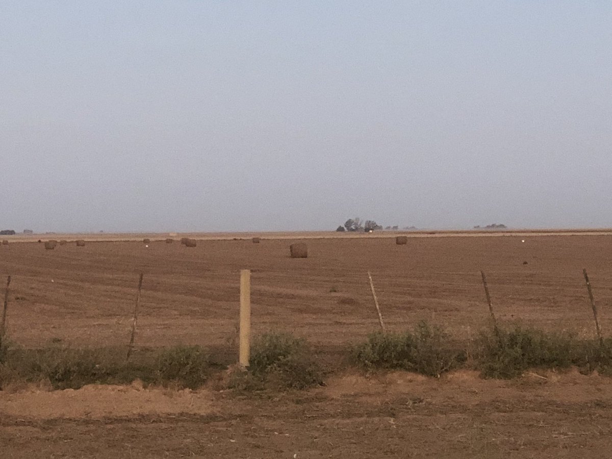 luciano_gast's tweet photo. Seguimos observando lo que no se debe hacer, esto está mal, el 🥜 no degrada el suelo, si no lo que luego hacen en los lotes. Rollos de rastrojo de 🥜. MAL MAL MAL. y acá no le pueden echar la culpa al maní. Esto se llama irresponsabilidad de los propietarios que permiten esto. https://t.co/o9Qzb2Fdvu