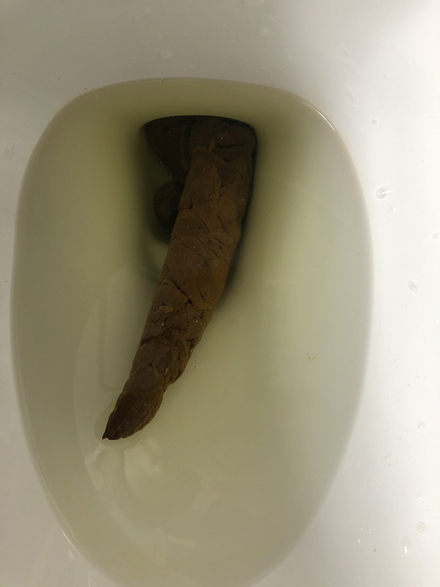 Poop4Cute's tweet photo. The girl                         The poops https://t.co/3oIlkwf731