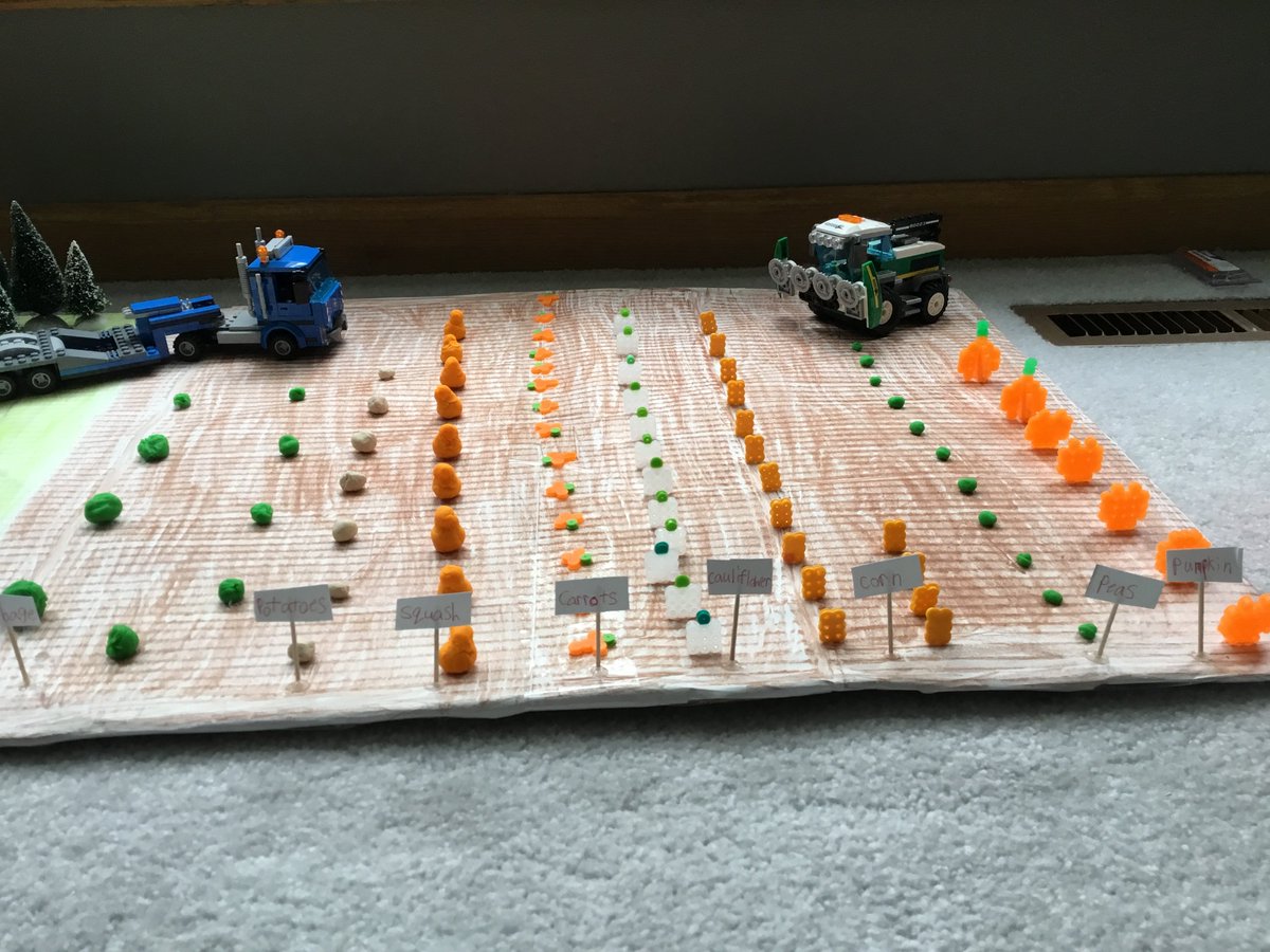 This morning Violet shared her community project with us at our Zoom meeting!  She researched and built a farming community.  Look at all of her different crops!  #learningfromhome