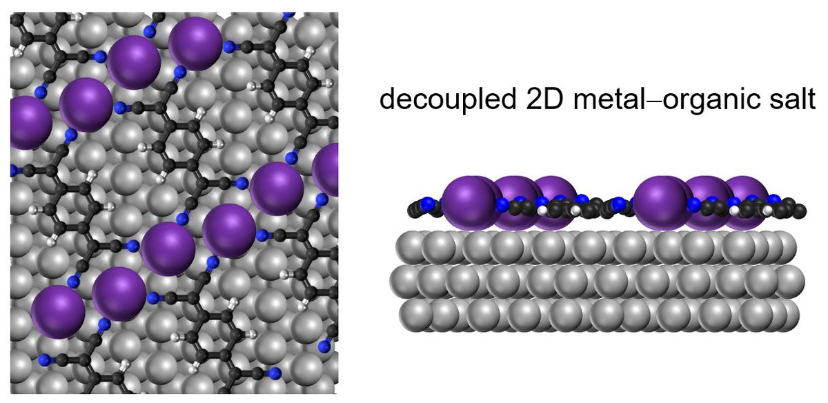 Costantini Group tweet media