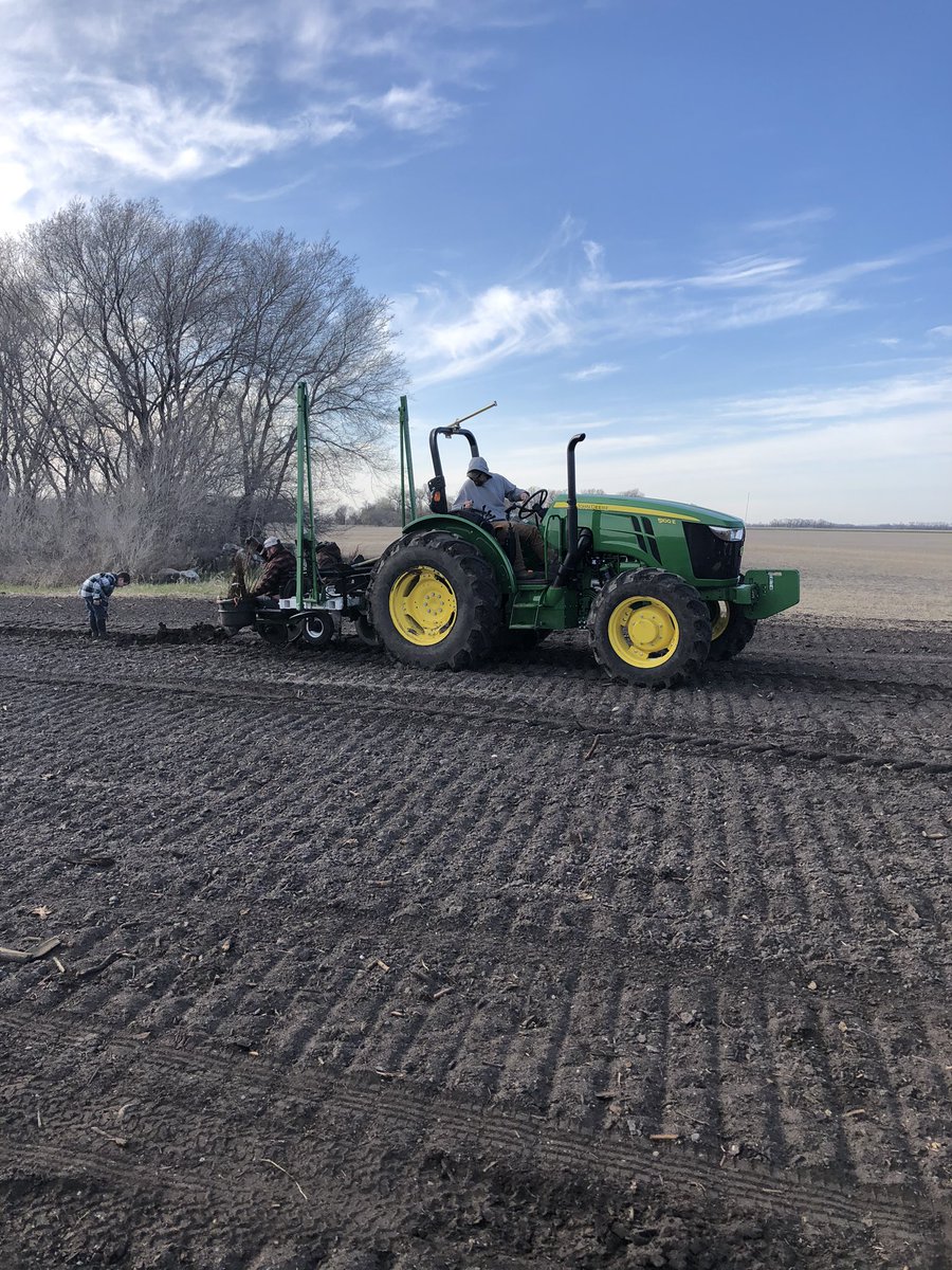 First day planting trees this season!!! #ndtrees #shelterbeltrenovation #treestreestrees