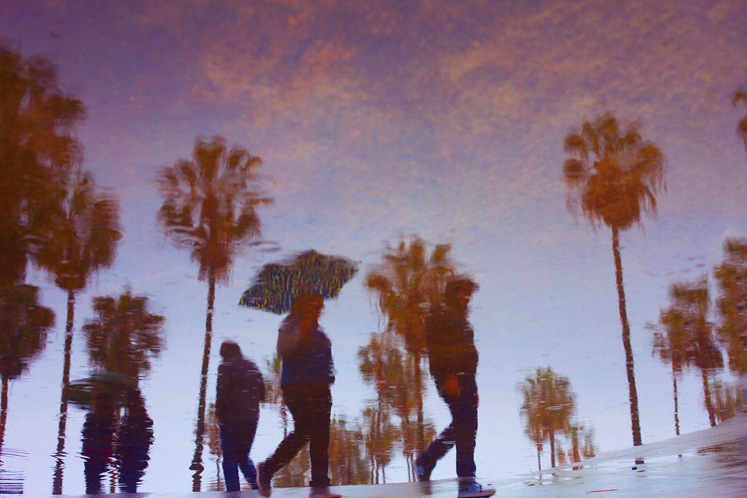 #puddlereflection #bonnienealphoto #waterreflection #losangeles #Venice #venicebeach #california #surrealphotography #fineartphotography #QuarantineLife