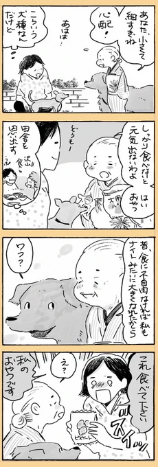 姫ばあちゃんとナイト(その21) #創作漫画 